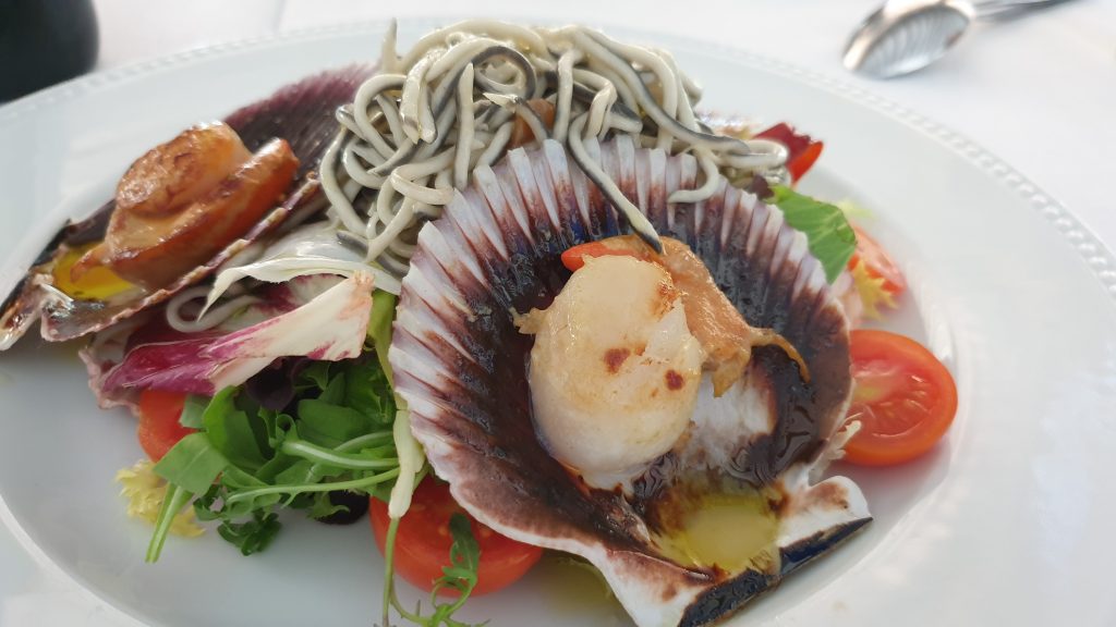 Tejas Verdes: Vieiras