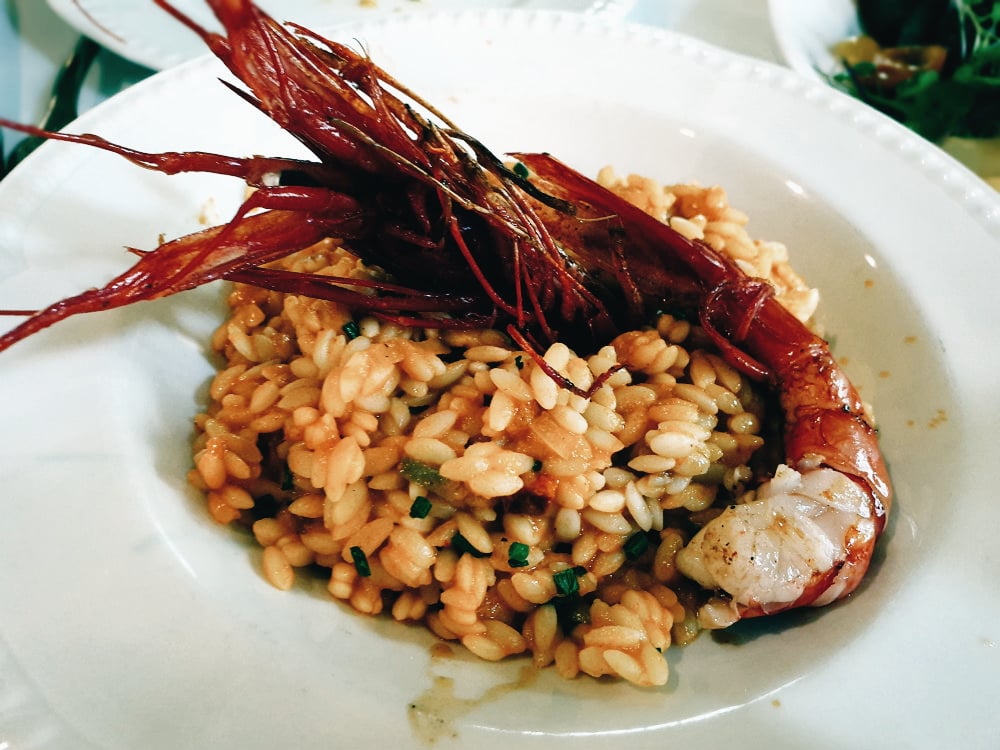 Taberna los Gallos - Falso Risotto